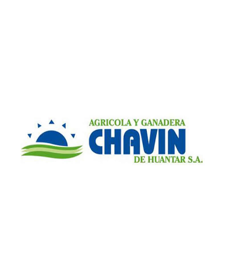 Chavin